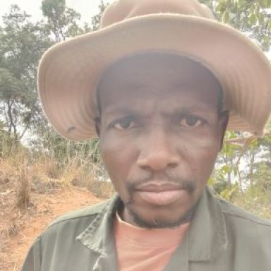 Profile photo of Tatenda